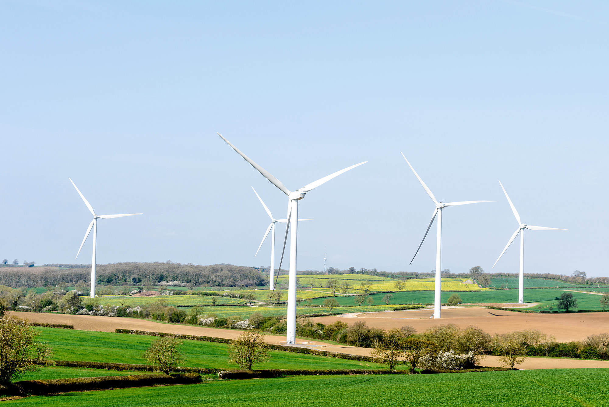 Hedley Renewables